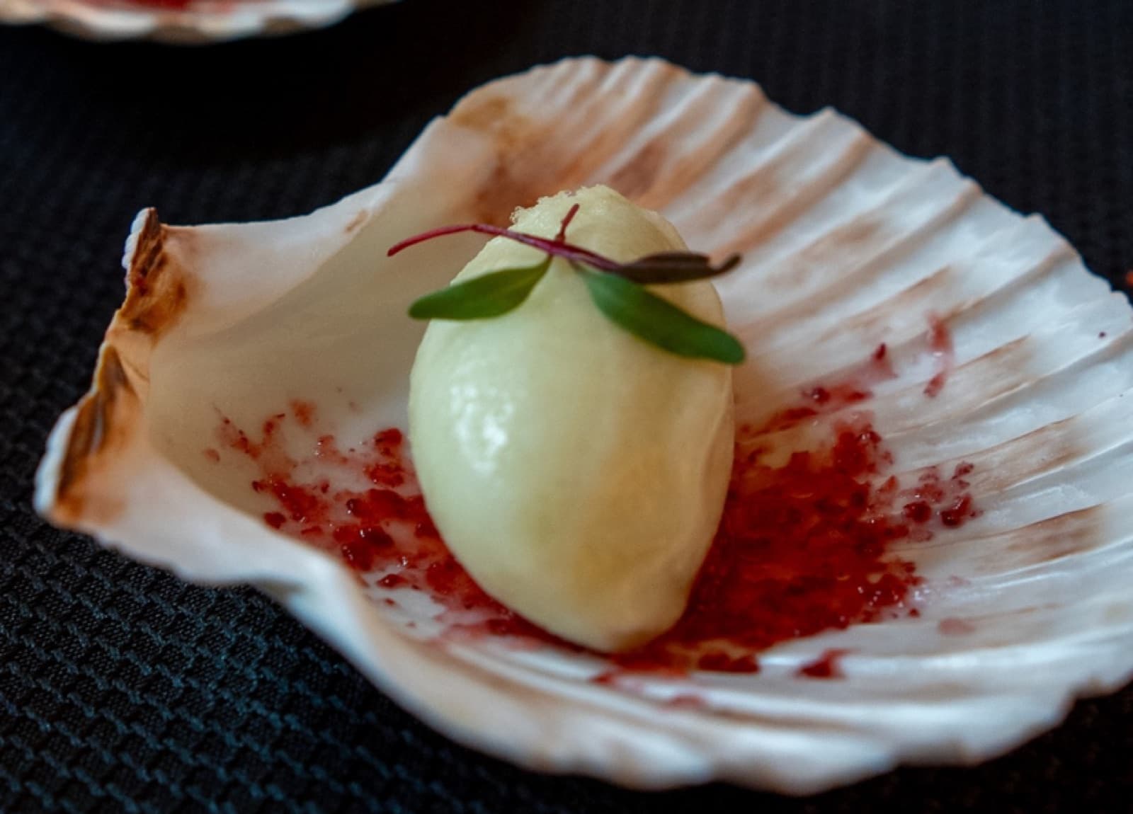 Sorbet served in a scallop shell